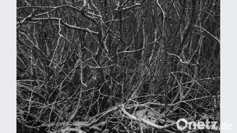 „Sept etudes sur la couleur du neige“ (Sieben Etüden über die Farbe des Schnees), Fotografie, 2019 . Bild: Jeff Beer
