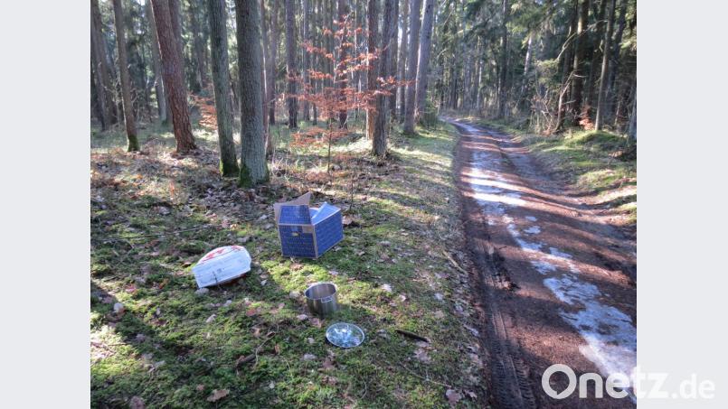 An einem Waldweg deponierte die 20-Jährige ihren Hausmüll. Bild: Polizei