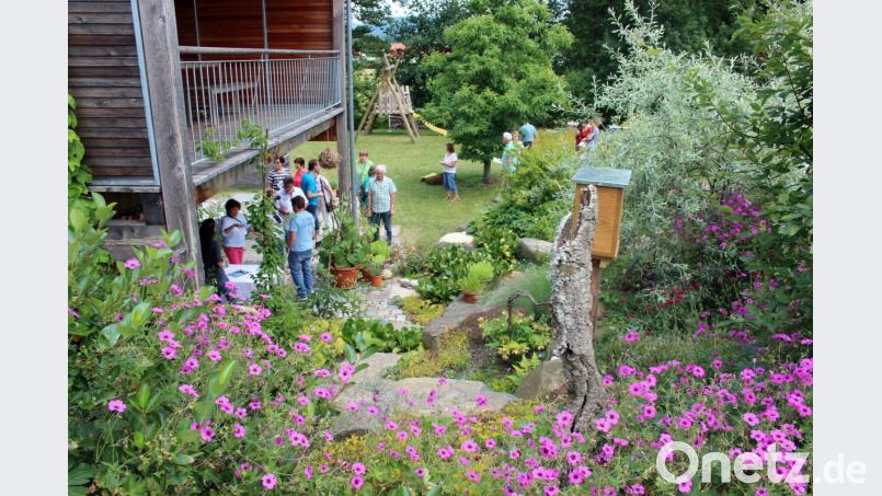 Der Tag der offenen Gartentür ist nicht nur Gelegenheit für Anregungen, sondern auch zum Plausch mit anderen Gartenfreunden wie im vergangenen Jahr.



Holger Stiegler

Redaktionsbüro

Kuchenreuth 18

95478 Kemnath

09642/7034580 (Büro)

09642/7034579 (privat)

0152/53966122 (Handy)

Fax: 03212 - 2141974

 <mailto:holgerstiegler@web.de> holgerstiegler@web.de Bild: stg