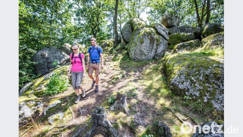 Das Wandern, hier am Naturdenkmal Druidenstein bei Kröblitz (Stadt Neunburg vorm Wald), zählt zu den gefragtesten Urlaubsangeboten im Oberpfälzer Wald. Auch der Landkreis ist weiterhin ein gefragtes Urlaubsziel, auch wenn die im Vorjahr weniger Übernachtungsgäste verzeichnet wurden. Bild: exb/Thomas Kujat