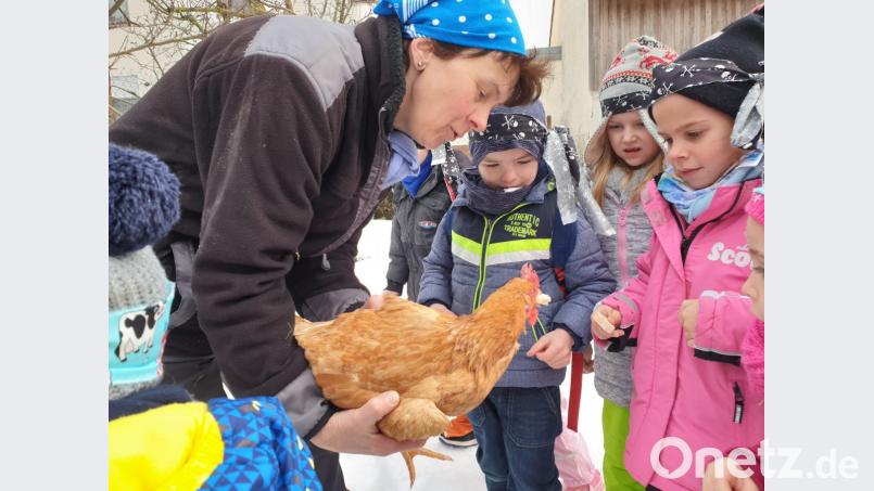 Bäuerin Maria Bierler erzählte den Kindern so einiges über die Tiere, die es auf einem Bauernhof gibt. Den hungrigen Hühnern durften die Mädchen und Buben Mais und Brot geben. Bild: ads
