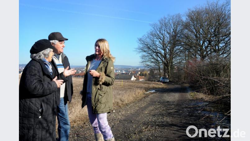 Sie möchten die alten Eichen retten: Freya Zobel (von links), Heinrich Kapperer und Manuela Bisani besprechen ihr weiters Vorgehen. Bild: Stephan Huber