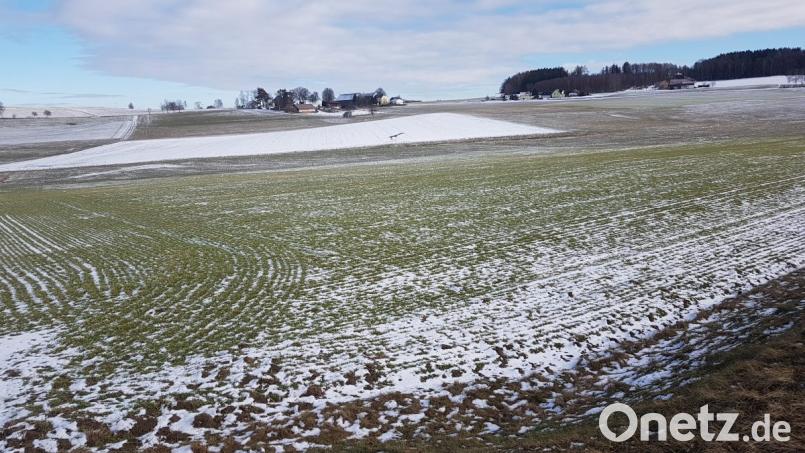 Auf diesem Areal an der Staatsstraße Moosbach-Eslarn soll eine Freiflächen-Photovoltaikanlage entstehen. Bild: gi