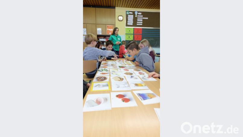 Die Schüler stellten mit Unterstützung einer Expertin eine gesunde Mahlzeit zusammen. Bild: exb