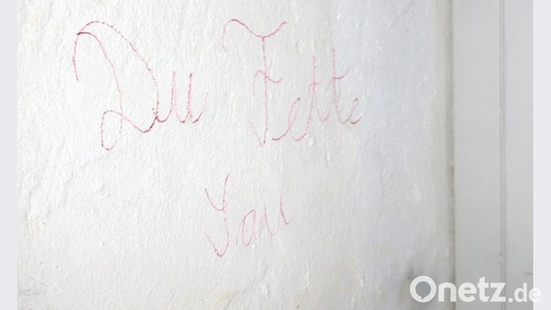 Ein Kommentar erübrigt sich. Die Schmierereien setzen sich im Kellerbereich, den das Paar gemeinsam nutzt, weiter fort. Bild: wro