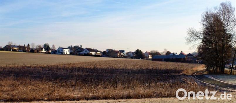 Auf der dunkel gesprenkelten Fläche lassen zurzeit noch die Sonnenblumen vom letzten Jahr die Köpfe hängen. Bald soll dort auf 12.000 Quadratmetern ein Gewerbegebiet entstehen. Im Hintergrund die Südhangsiedlung, das Betriebsgebäude der Zimmerei Blödt und rechts das Sportvereinsgelände. Bild: jml