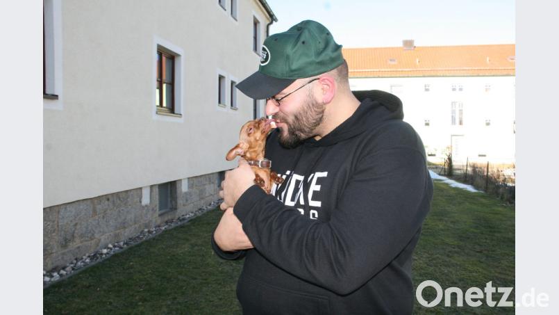 Das Hundefräulein Emily ist zwar verletzt, aber überglücklich, dass sie bei ihrem Herrchen sein darf. Bild: wro