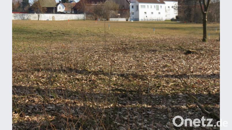 Die Fläche ist schon abgesteckt: Auf rund 1700 Quadratmetern wird in unmittelbarer Friedhofsnähe ein provisorischer Parkplatz für maximal 50 Fahrzeuge entstehen. Bild: kö
