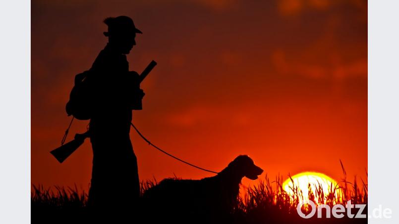 ILLUSTRATION - Ein steht mit seinem Hund im Sonnenuntergang auf einem Feld. Foto: Patrick Pleul/Archiv Bild: Patrick Pleul