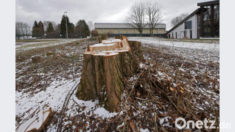 Der alte Allwetterplatz am Gymnasium (links hinten) muss einer neuen Turnhalle weichen. Als Ersatz wird nun vor der Schwimmhalle (rechts) ein neuer Allwetterplatz gebaut. Die vorbereitenden Arbeiten laufen bereits. Im Hintergrund in der Mitte die alte Dreifachturnhalle, die während der Bauarbeiten weiter genutzt werden kann. Bild: Benkhardt