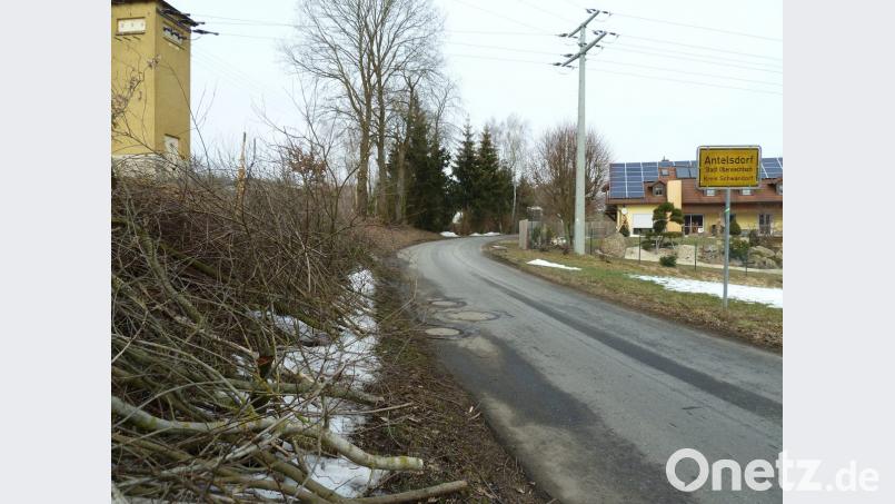 Während die zwei morschen Eichen (Mitte) neben dem Transformator-Gebäude am Ortseingang von Antelsdorf der Säge zum Opfer fallen, bleibt der gesunde Kirschbaum daneben stehen. Die vergangenen Tage hat der Bauhof bereits die überhängenden Äste entlang der GVS zur Staatsstraße 2159 geschnitten. Bild: Portner