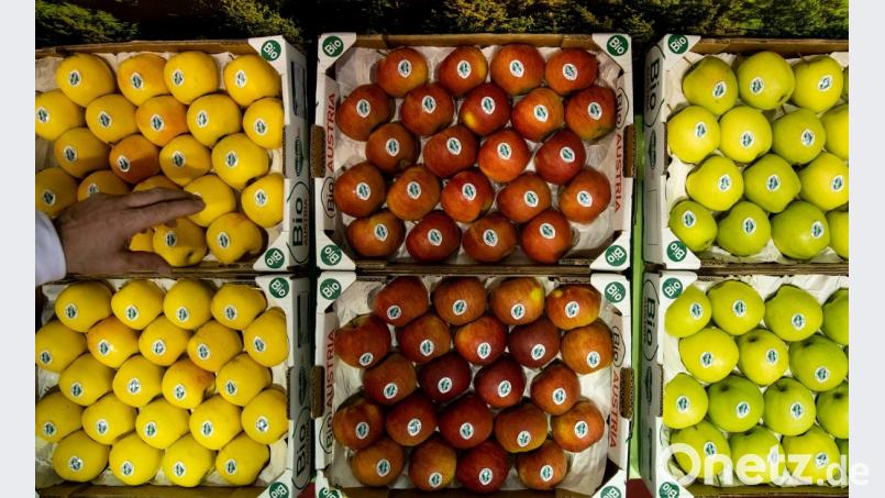 Im großen Stil haben zwei Männer seit August 20000 Transportkisten für Obst und Gemüse gestohlen. Bild: Daniel Karmann/dpa