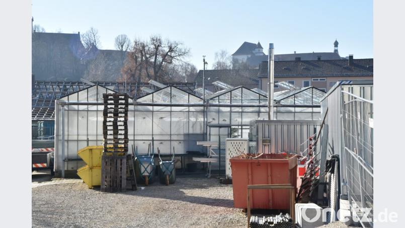 Die Gewächshäuser bleiben stehen. Bild: Andreas Royer