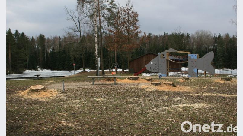 Derzeit entsteht in den Köpfen der Bauhofleute und des Revierförsters eine mit frischen Bäumen bepflanzte „Kipp-Anlage“. „Wir bitten um Geduld“, warb Marktrat und Bauhofleiter Michael Klarner um Verständnis für die inzwischen abgeschlossenen Rodungsarbeiten. Bild: wro