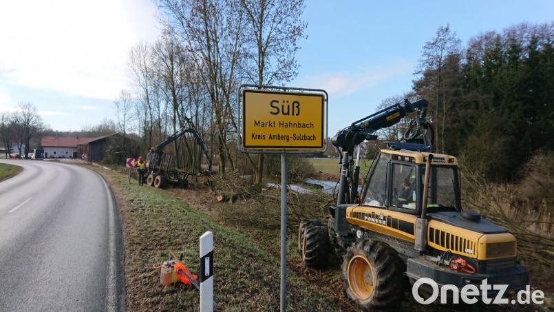 Bäume und Sträucher müssen zugunsten des künftigen Radwegs weichen. Bild: exb