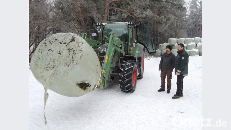 Michael Speckner und Andreas Irle holen mit dem Traktor große „Gras-Bonbons“ aus dem Ballenlager. Archivbild: mor