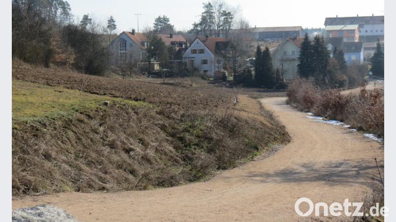 Hier zwischen Hütberg und Weinberg soll (im Bild links vom Weg) ein Baugebiet "Am Kalvarienberg" mit fünf Parzellen ausgewiesen werden. Bild: kö