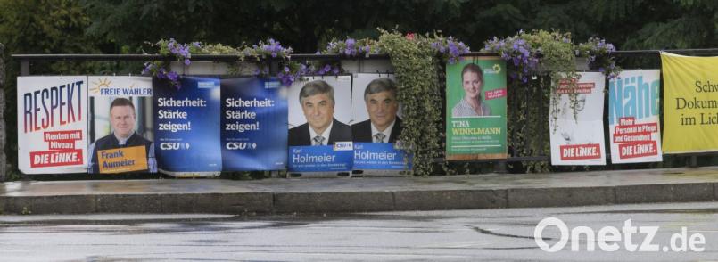 Ein üblicher Anblick in Schwandorf: Wahlplakate, wie hier für die Bundestagswahl 2017, sind nebeneinander aufgereiht. Der Stadtrat hat nun den Marktplatz und weitere Stellen der Innenstadt mit einem Plaktierverbot belegt. Archivbild: Hirsch