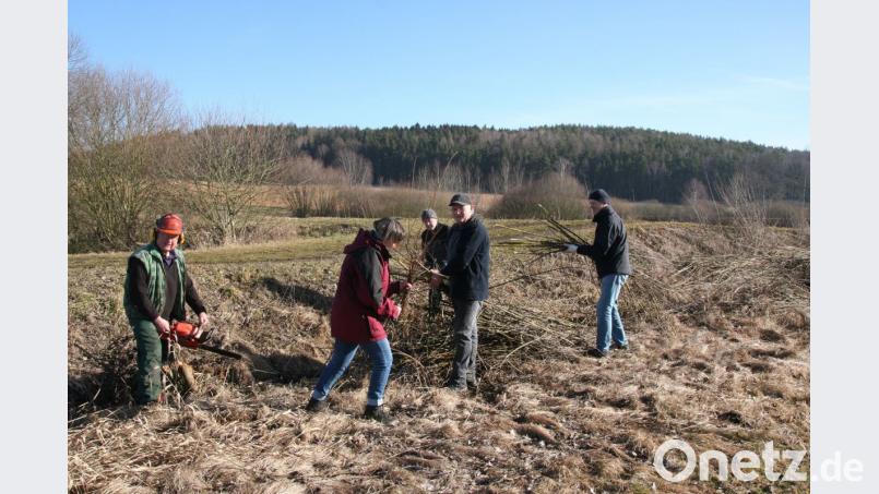 LBV-Aktive entfernen rund um die Wiese an den Langwiedteichen einige Gehölze, damit der Kiebitz und andere Wiesenbrüter sich dort wohlfühlen und brüten. Bild: exb/Susanne Götte