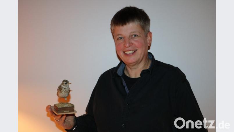 Sigrid Peuser zeigt eine ausgestopfte Feldlerche. Bild: gru