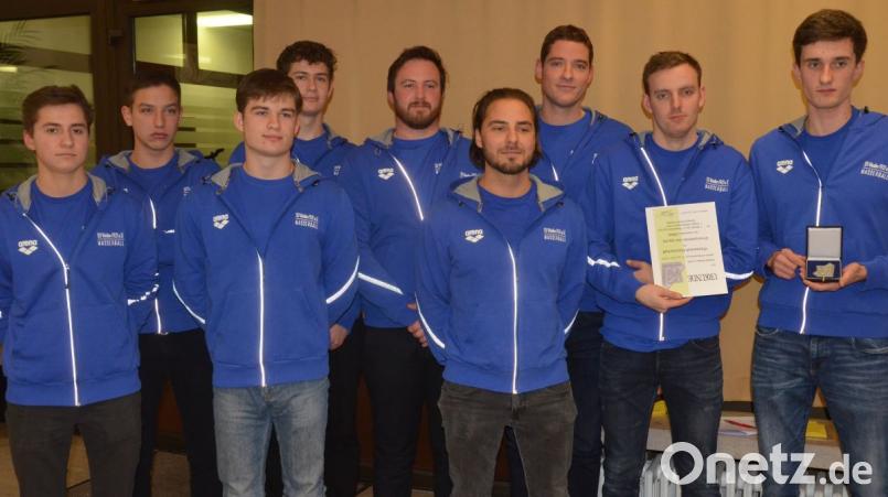 Plakette und Nadel in Silber für den Meister der 2. Wasserball-Liga-Süd vom Schwimmverein Weiden. Bild: Kunz