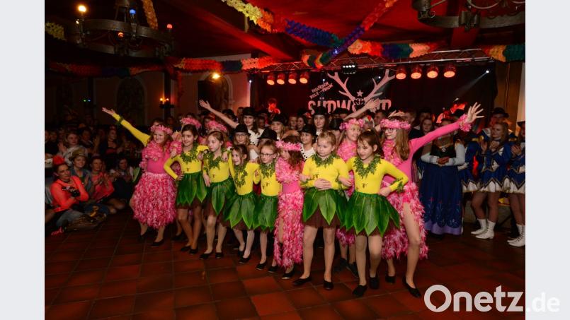 Die Kindergarde begeistert mit ihrem Auftritt die Besucher. Dazu tragen auch die tollen Kostüme bei, die für ein buntes Bild im Bachofnersaal sorgen. Bild: bey