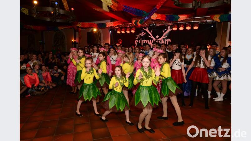 Die Pleysteiner Kindergarde zeigt ihre Tänze frei nach aktuellen Schlagern und internationler Musik. In jedem Fall sind die Kinder mit Begeiisterung und höchster Konzentration bei ihrem Auftritt. Bild: bey