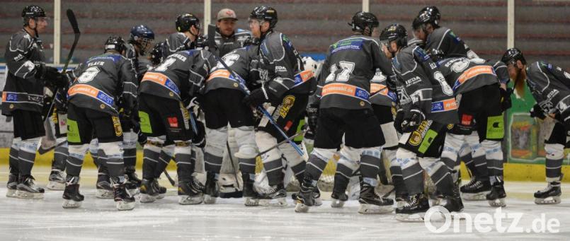 In gewohnter Größe wird das Löwen-Rudel heute Abend nicht antreten können. Zumindest wird aber die Mindeststärke von einem Tormann und neun Spieler erreicht. Bild: brü