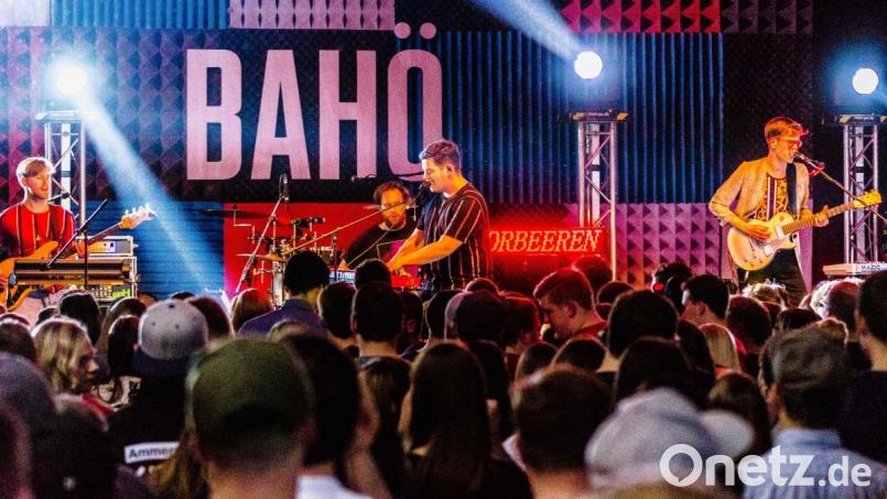 Vorgruppe Lorbeeren Bild: chl