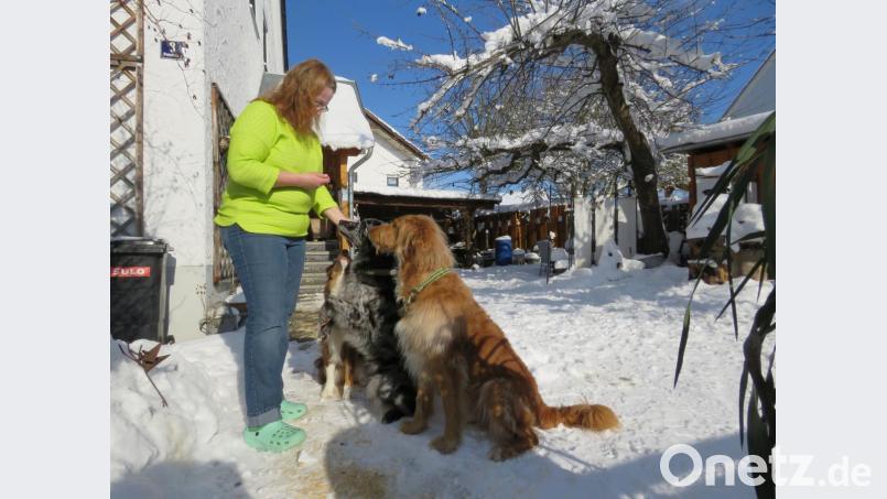 Sagt Cornelia Kisser „Sitz!“, gehorchen ihr drei Vierbeiner gleichzeitig. Bild: ubb