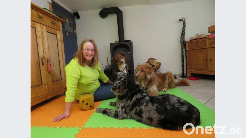 Die Hunde Lucky, Wilma und Rosa sind einfach zum Kuscheln - und sie haben einen Beruf. Bild: ubb