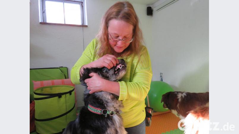 „Das sind scharfe Zähne!“, warnt Cornelia Kisser, dass ein Hund kein Spielzeug sei. Bild: ubb