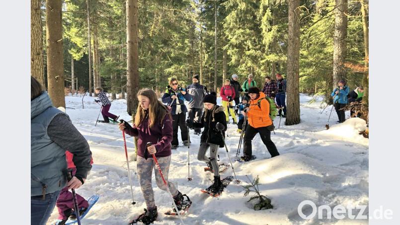 Schneeschuhwandern Bild: hai