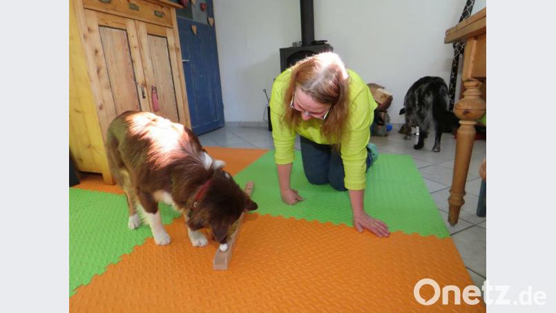 Auf Befehl rollt Rosa die Kugel weiter. Dafür gibt es immer ein Leckerli. Bild: ubb