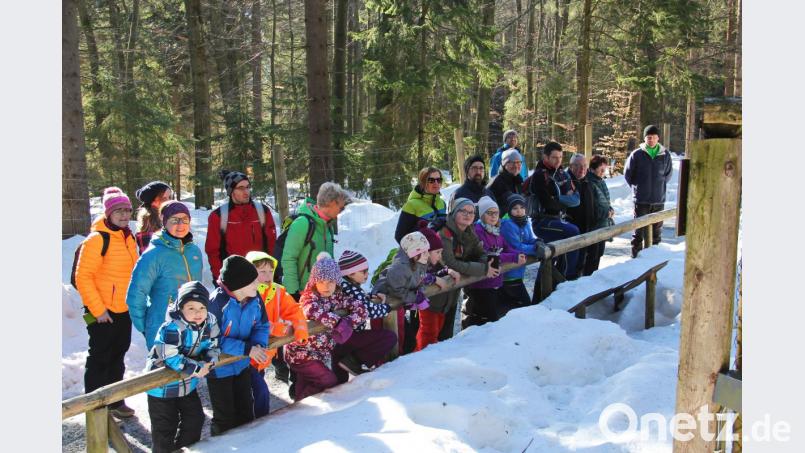 Schneeschuhwandern Bild: hai