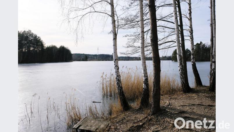 Für die Einen gehört der Quarzsandabbau im Bereich Grub und Hütten (unser Bild) zu den Gegebenheiten der Oberpfälzer Landschaft und dient der Wirtschaftskraft der Region. Für die Anderen ist er Eingriff in den Naturhaushalt. Übereinstimmend begrüßenswert ist im Stadtrat nur die Absicht, die Nass-Abbauflächen nach der Ausbeutung wieder zu verfüllen und daraus Waldstandorte zu entwickeln. Bild: do