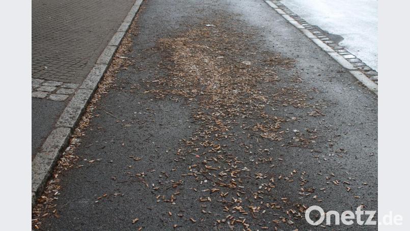 Zigarettenstummel säumen die Bushaltestelle an der Berufsschule. Bild: psne