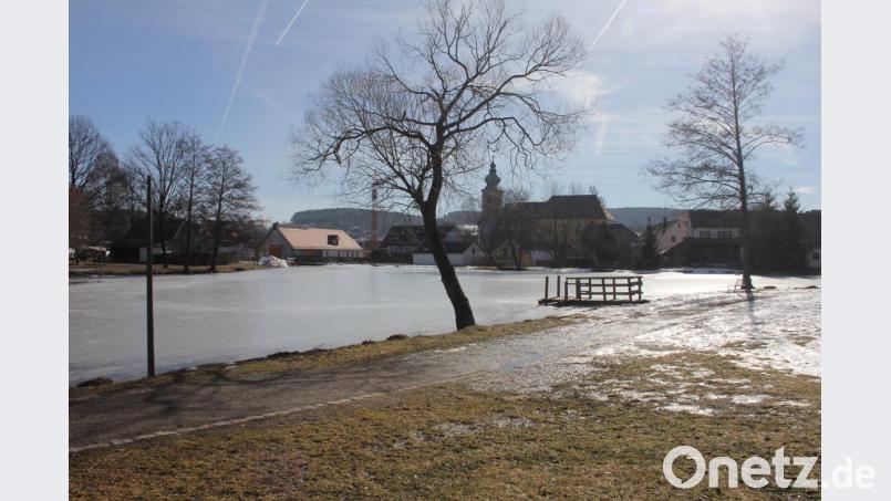 Der Fischereiverein Oberviechtach hat sei Februar den Marktweiher gepachtet, der vor dem Besatz noch ausgebaggert wird. Bild: frd