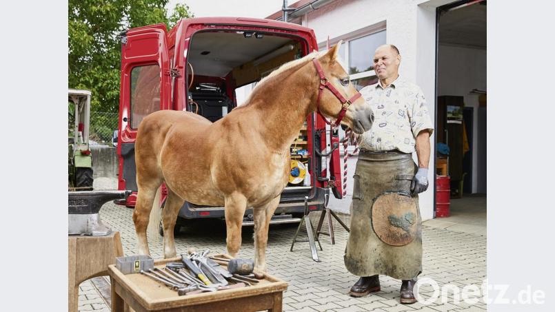 Heute hat Egon Lorenz wieder alles im Griff. Nach einem Zeckenbiss im Sommer 2016 war die Gesundheit des Hufschmieds schwer angeschlagen. Bild: Pfizer