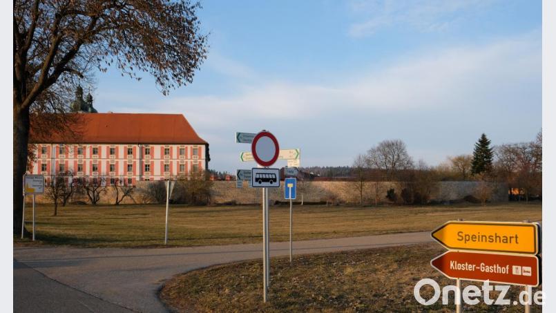 Das von ihr erworbene Wiesengelände vor dem Kloster möchte die Kommune mit Unterstützung des Obst- und Gartenbauvereins in ein blühendes Areal umgestalten. Damit soll das Klosterdorf Beispielgemeinde für das Erfüllen der Forderungen aus dem Volksbegehren &quot;Rettet die Bienen&quot; werden. Bild: do