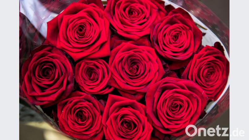 Nix mit roten Rosen und großer Liebe: Ein Institut für Partnervermittlung aus dem Landkreis Amberg-Sulzbach hat Senioren reingelegt. Bild: Christian Charisius/dpa