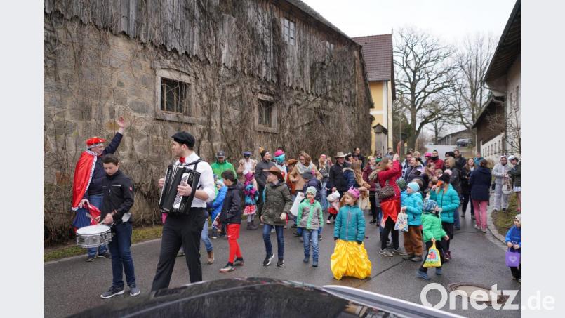 Kinderfasching in Albersrieth Bild: fvo