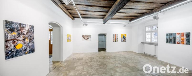 „Habitat“ heißt die 100. Sonderausstellung im Luftmuseum, die sich sehr großer Besucherresonanz erfreut und auch in Capriccio im Bayerischen Fernsehen besprochen wurde. Bild: Marcus Rebmann/exb