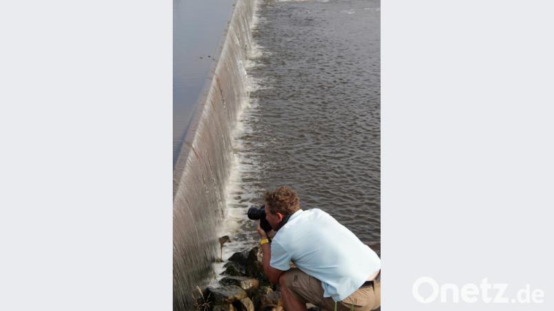 Die vielen spannenden Seiten des Landkreises sollen bei einem Fotowettbewerb zur Geltung kommen. Archivbild: Grüner