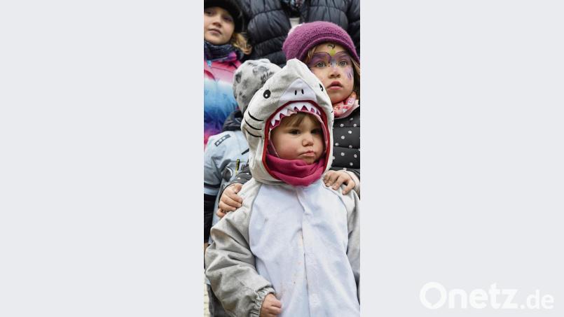 Dieser kleinen Hai fror nicht, denn auch er vergnügte sich am Nachmittag prima. Bild: Petra Hartl