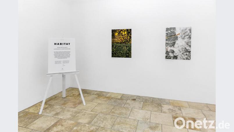 „Habitat“ heißt die 100. Sonderausstellung im Luftmuseum, die sich sehr großer Besucherresonanz erfreut und auch in Capriccio im Bayerischen Fernsehen besprochen wurde. Bild: Marcus Rebmann/exb