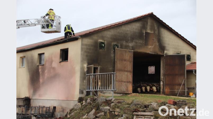Glimpflich ging ein Brand aus, der an der Seitenwand eines Rinderstalls im Fensterbacher Ortsteil Wohlfest ausgebrochen war. Feuerwehrmänner trugen am Ende einen Teil des Dachs ab, um Glutnester zu suchen. Bild: Thomas Dobler