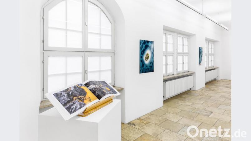 „Habitat“ heißt die 100. Sonderausstellung im Luftmuseum, die sich sehr großer Besucherresonanz erfreut und auch in Capriccio im Bayerischen Fernsehen besprochen wurde. Bild: Marcus Rebmann/exb