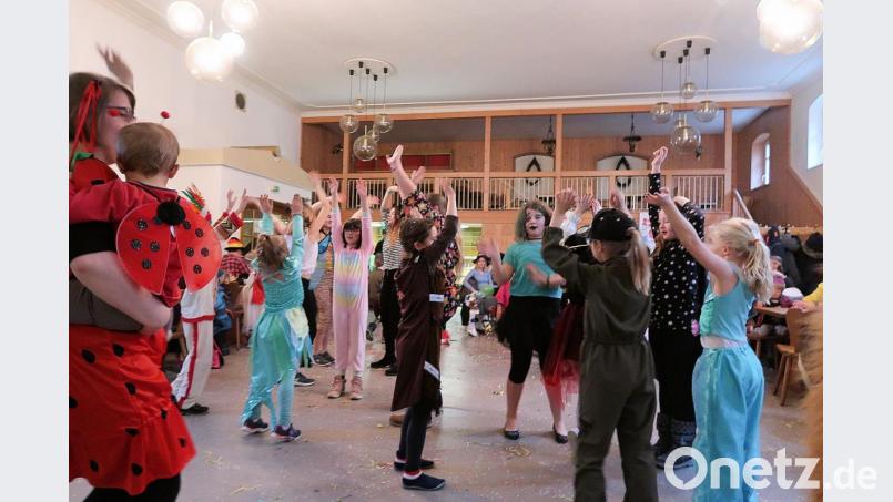 Die Mädchen und Buben hatten ihre helle Freude beim Kinderfasching der Kolpingsfamilie. Sie verbrachten mit ihren Eltern und Großeltern fröhliche Stunden im Gasthof „Goldener Engel“. Bild: bsc