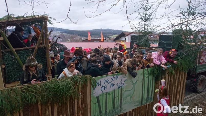 Die Waldthurner Landjugend ist beim Faschingszug in Pleystein wild unterwegs. Bild: fvo